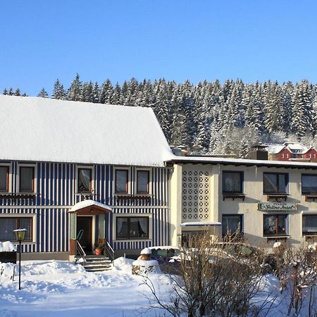 Haus Gruene Insel - Ferienwohnungen Альтенау Экстерьер фото