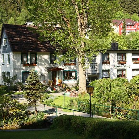 Haus Gruene Insel - Ferienwohnungen Альтенау Экстерьер фото