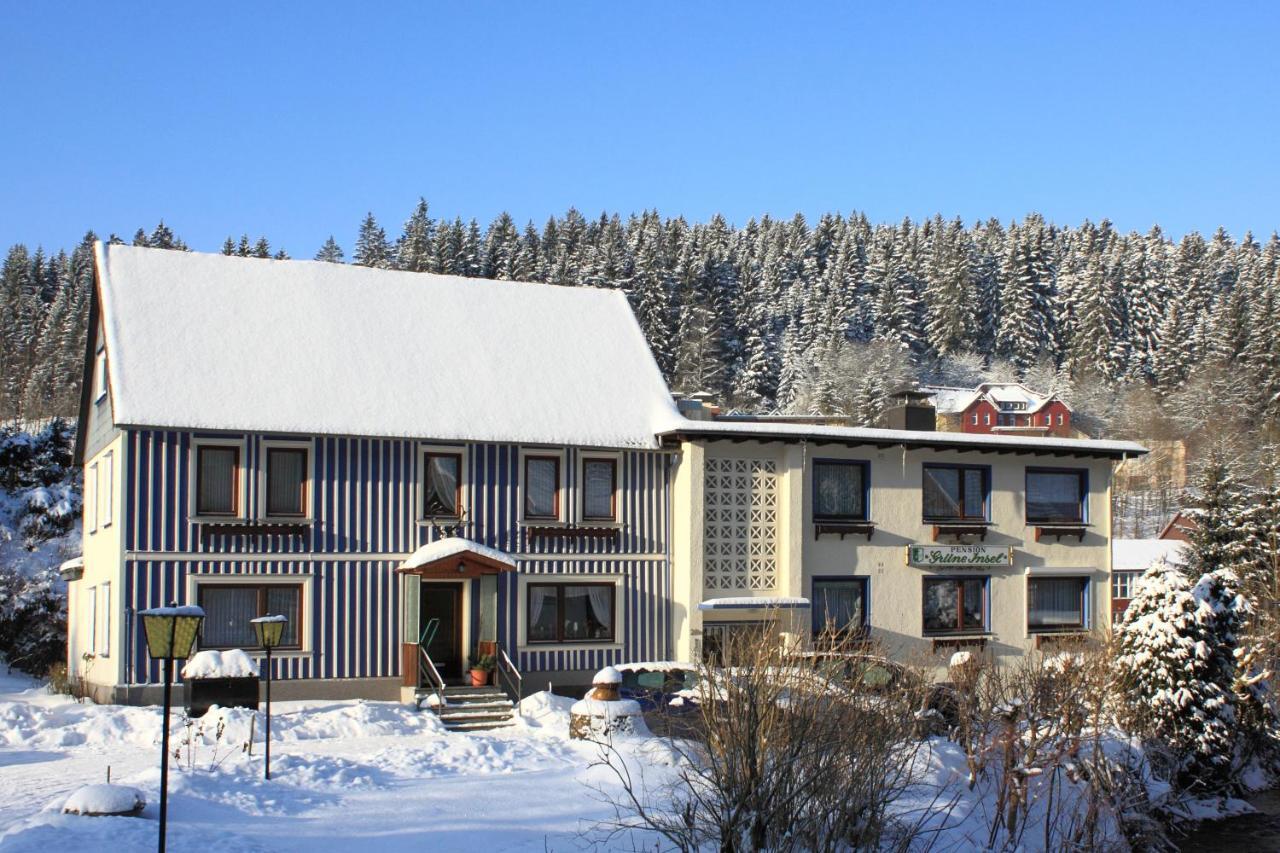 Haus Gruene Insel - Ferienwohnungen Альтенау Экстерьер фото