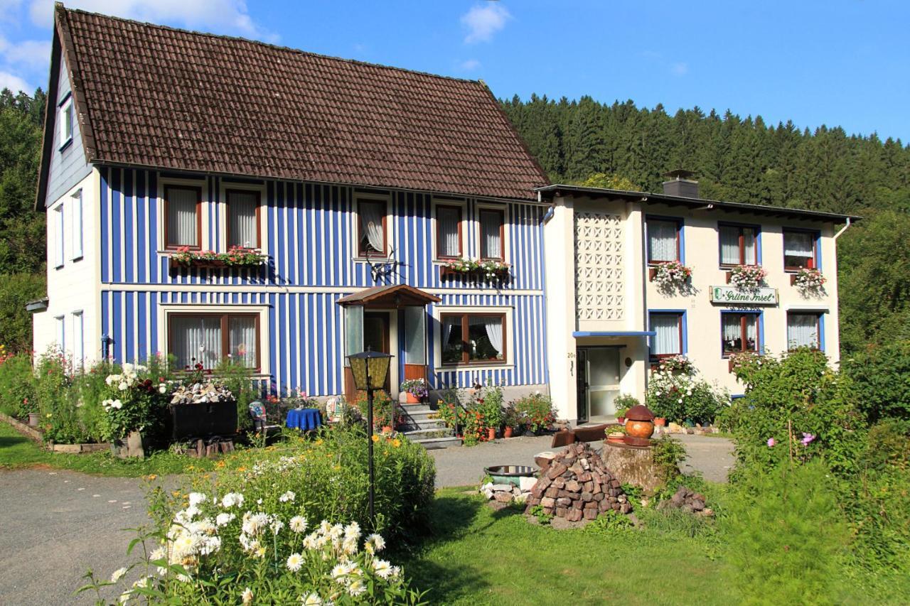 Haus Gruene Insel - Ferienwohnungen Альтенау Экстерьер фото