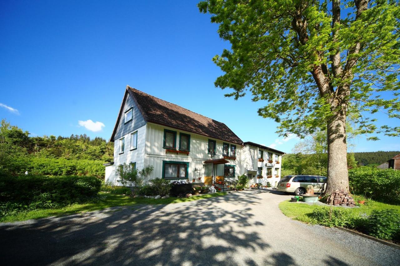 Haus Gruene Insel - Ferienwohnungen Альтенау Экстерьер фото